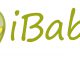 Logo_mibaby.de.png