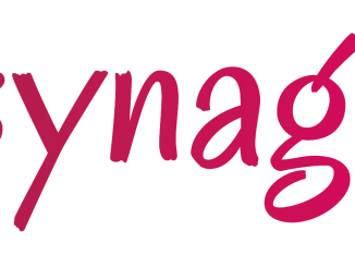 Logo_synagram.de